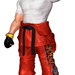 Tekken 4 Paul Phoenix Render