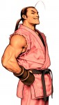 Capcom vs. SNK 2 Character Artwork SNK Style Dan Hibiki