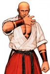 Geese Howard profile