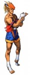 Adon Street Fighter Alpha 3 SFA3 Picture Image Art small